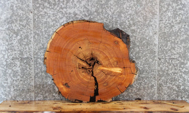 Live Edge Cedar Circle Cut Slab, Wood End Table Top 6406